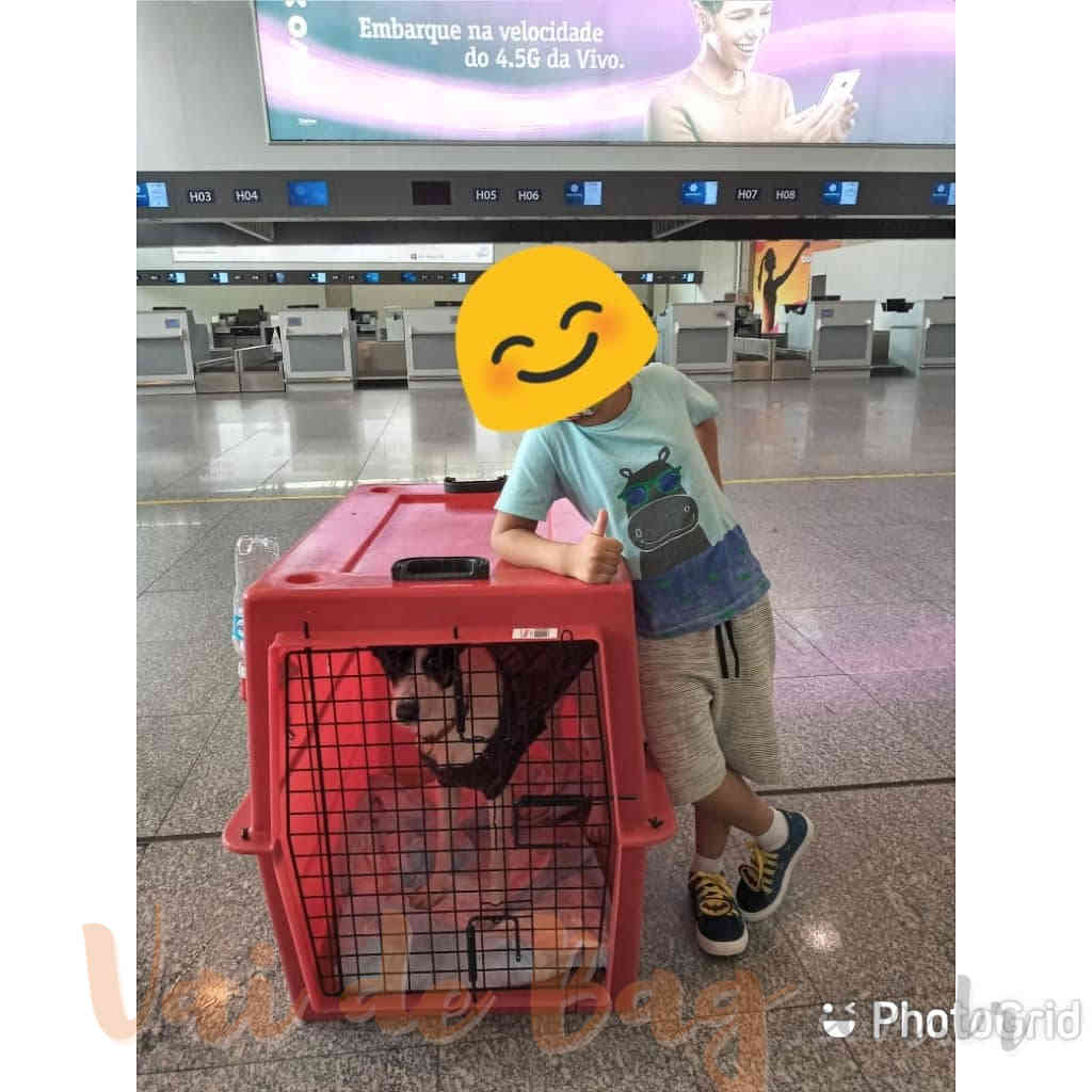 Aluguel de Caixa de Transporte para Cachorro Gato